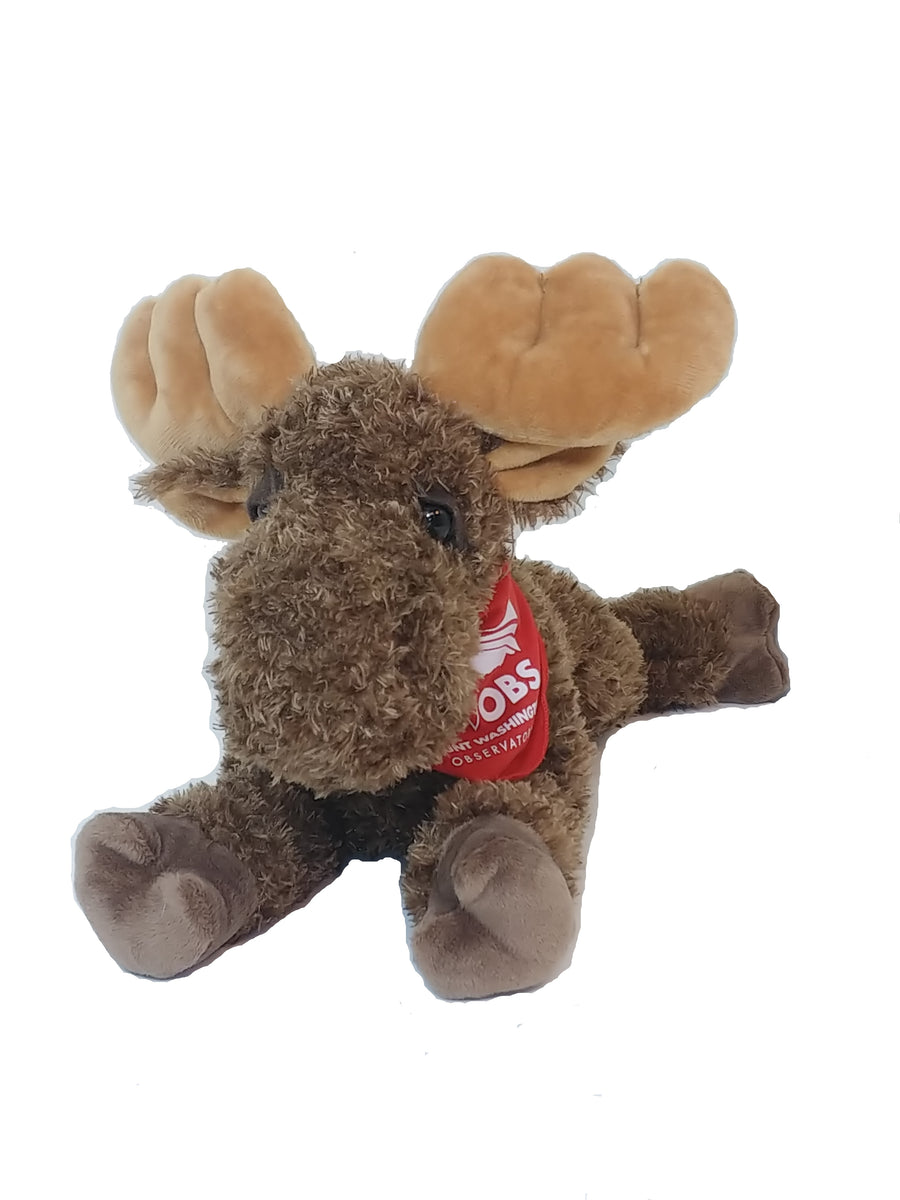 Moose Toys' Domination of Special Feature Plush Category Continues;  Announces Two New Innovation Sensations to Continue Impressive Streak