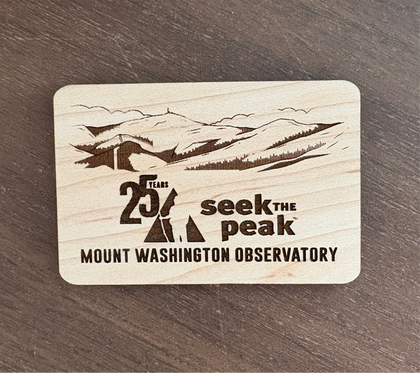 25th STP Park Sign Magnet