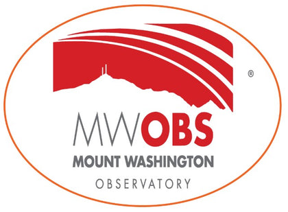 Small MWOBS Oval Button Magnet