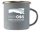 GSI Mesa Cups