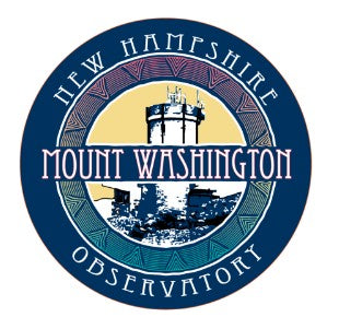 Mini Cricket Sticker