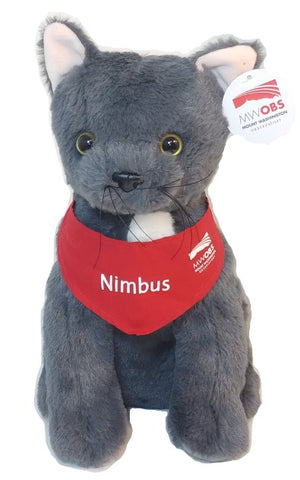 Nimbus Kitty - MWOBS' Mascot