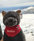 Nimbus Kitty - MWOBS' Mascot